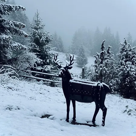 Holiday home Bu Bu House *