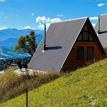 Bu Bu House Holiday home Verkhovyna